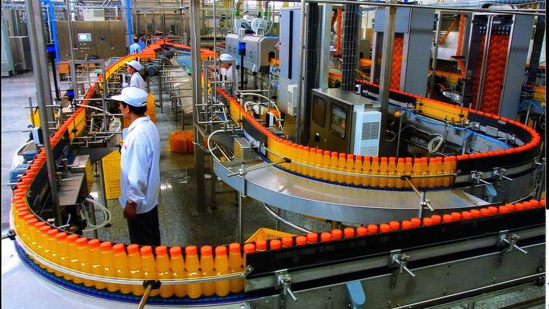 多功能食品机械与单功能机械：本质区别与选择要点**